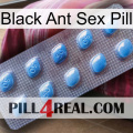 Black Ant Sex Pill viagra3